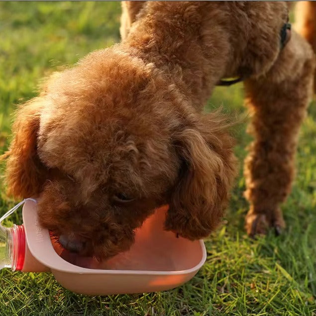 Bol d'eau pour animaux de compagnie d'extérieur 