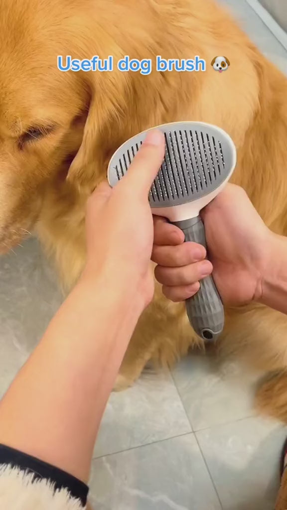 Brosse de massage pour animaux